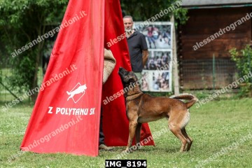 IMG_8194.jpg