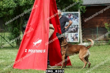 IMG_8202.jpg