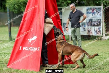 IMG_8209.jpg
