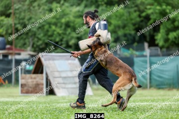 IMG_8264.jpg