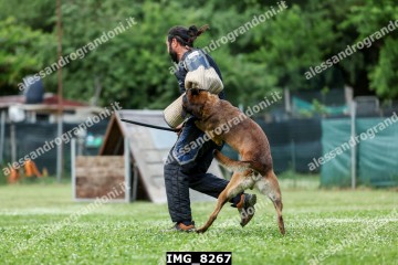 IMG_8267.jpg