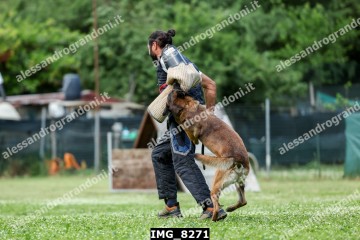 IMG_8271.jpg