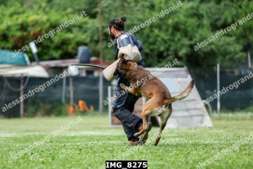 IMG_8275.jpg