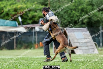 IMG_8278.jpg