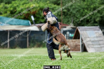 IMG_8282.jpg