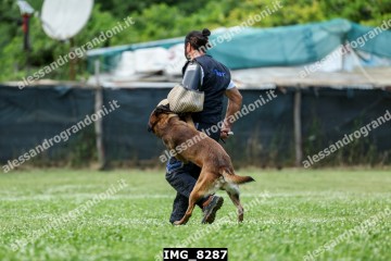 IMG_8287.jpg