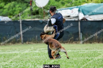IMG_8301.jpg