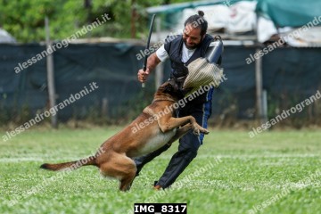 IMG_8317.jpg