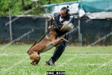 IMG_8320.jpg