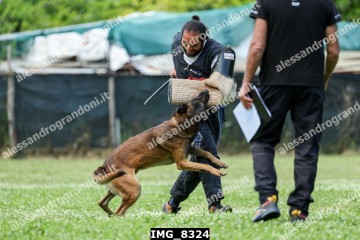 IMG_8324.jpg