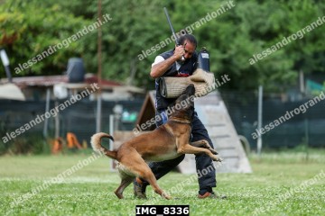 IMG_8336.jpg