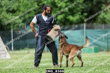IMG_8366.jpg
