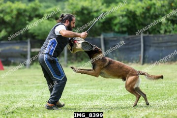 IMG_8399.jpg