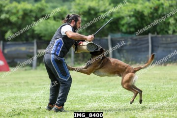 IMG_8400.jpg