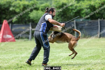 IMG_8402.jpg