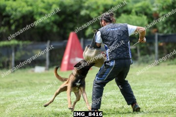 IMG_8416.jpg