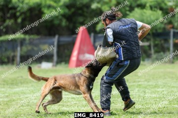 IMG_8419.jpg
