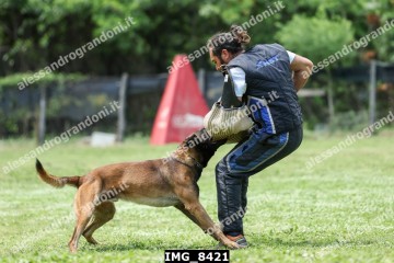 IMG_8421.jpg
