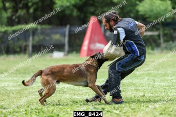 IMG_8424.jpg