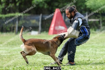 IMG_8427.jpg