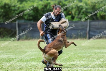 IMG_8440.jpg