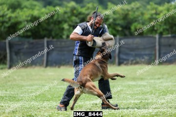IMG_8444.jpg