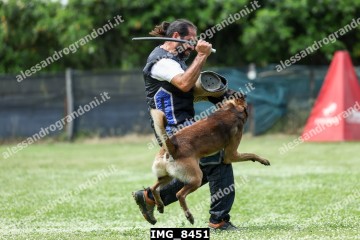 IMG_8451.jpg