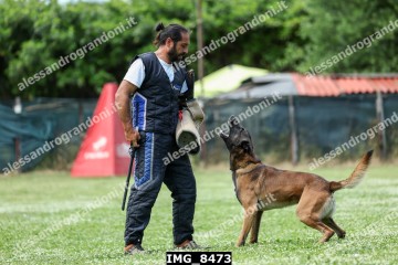 IMG_8473.jpg