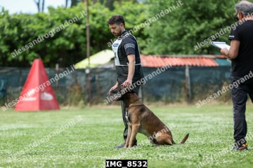 IMG_8532.jpg