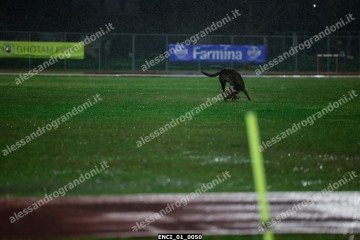 ENCI_01_0050.jpg