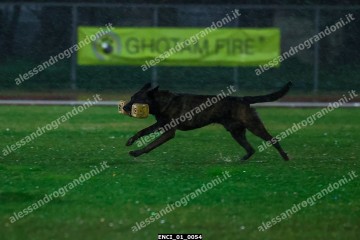 ENCI_01_0054.jpg