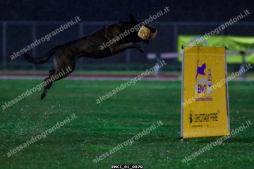ENCI_01_0079.jpg