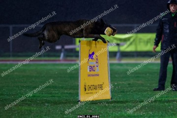 ENCI_01_0081.jpg