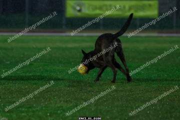 ENCI_01_0106.jpg
