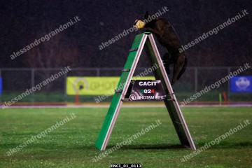 ENCI_01_0113.jpg