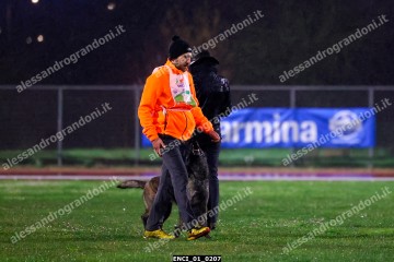ENCI_01_0207.jpg