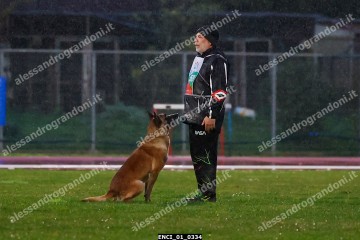 ENCI_01_0334.jpg