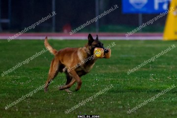ENCI_01_0366.jpg
