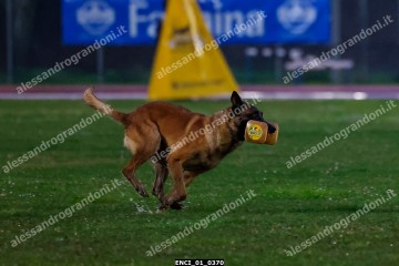 ENCI_01_0370.jpg