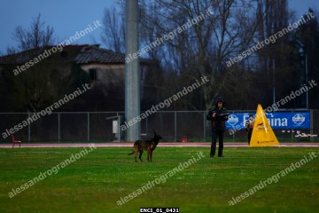 ENCI_01_0431.jpg
