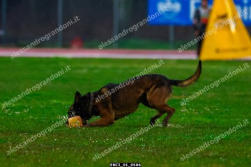 ENCI_01_0506.jpg