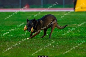 ENCI_01_0515.jpg