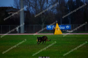 ENCI_01_0516.jpg
