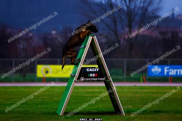 ENCI_01_0567.jpg