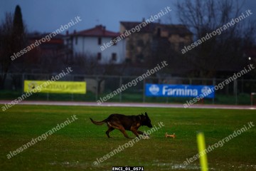 ENCI_01_0571.jpg