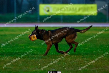 ENCI_01_0586.jpg