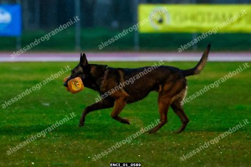 ENCI_01_0589.jpg