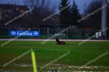 ENCI_01_0650.jpg