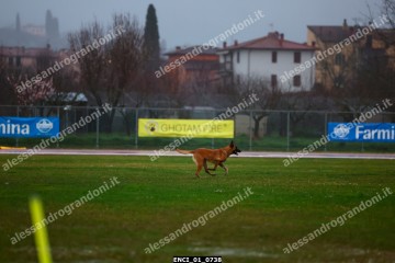 ENCI_01_0738.jpg