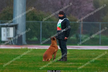 ENCI_01_0747.jpg